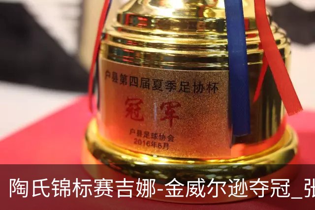 陶氏锦标赛吉娜-金/威尔逊夺冠 张维维/张雅惠T12